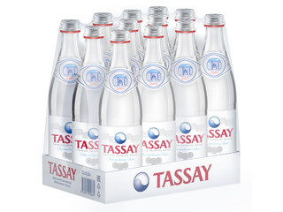 Природная питьевая вода TASSAY негазированная, стекло 0.5 литра Природная питьевая вода TASSAY негазированная, стекло 0.5 литра